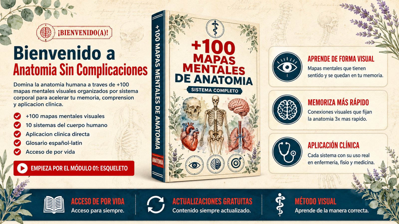 Anatomía Sin Complicaciones · Bonos