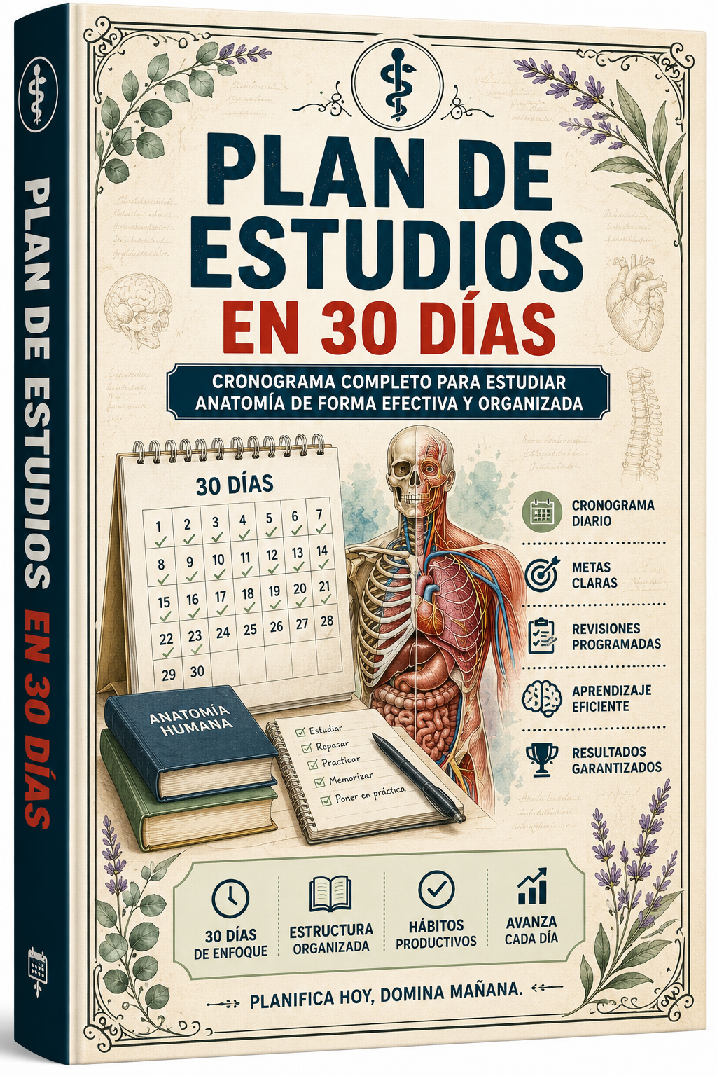 Plan de Estudios Anatomía 30 Días