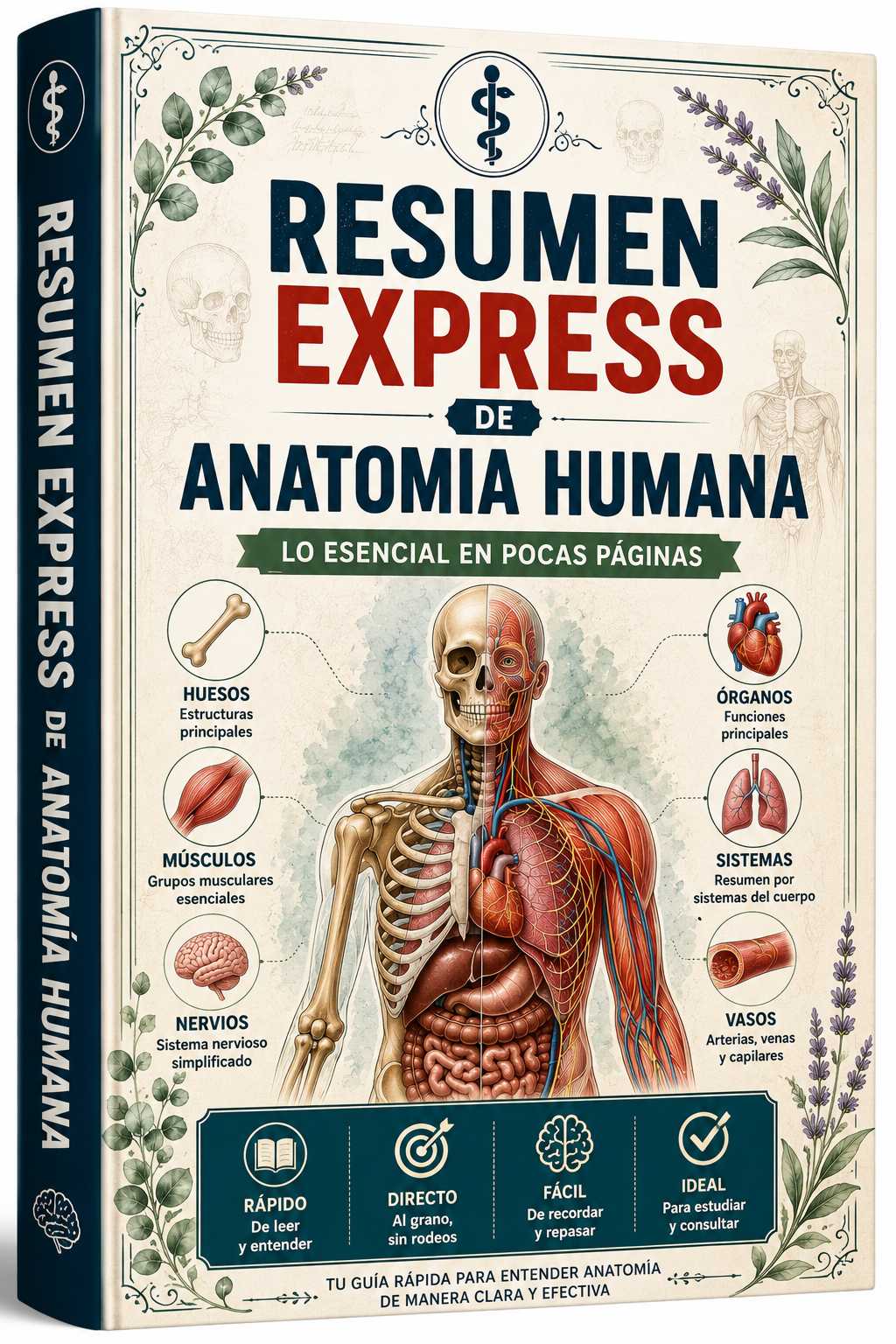 Resumen Visual de Anatomía